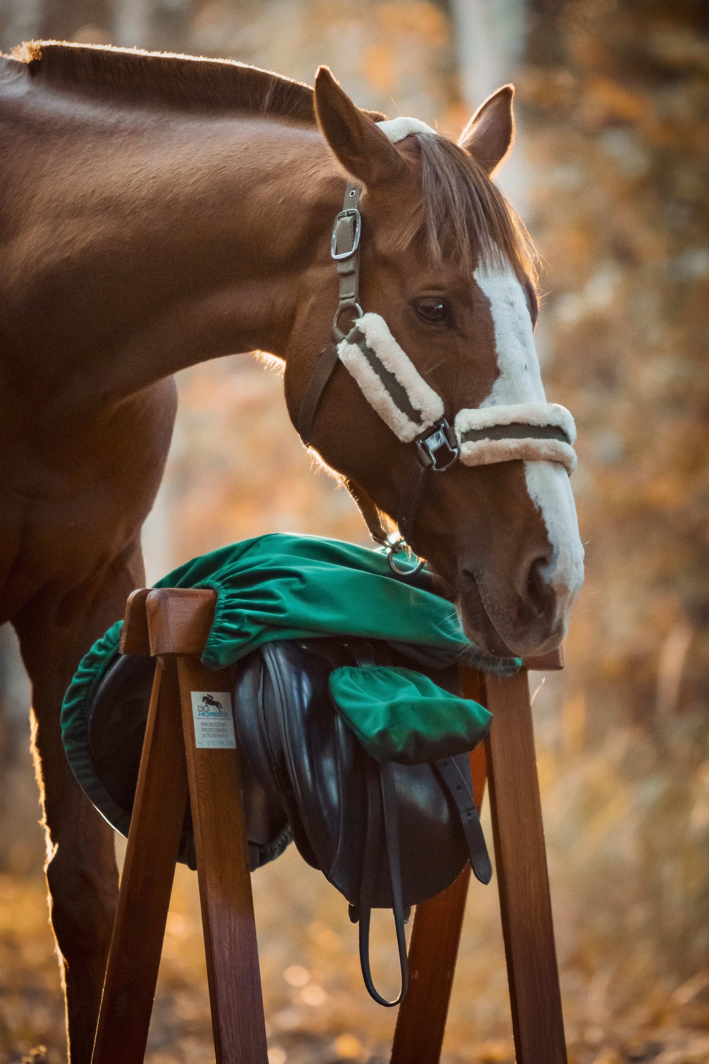 Pokrowiec na siodło (emerald)
