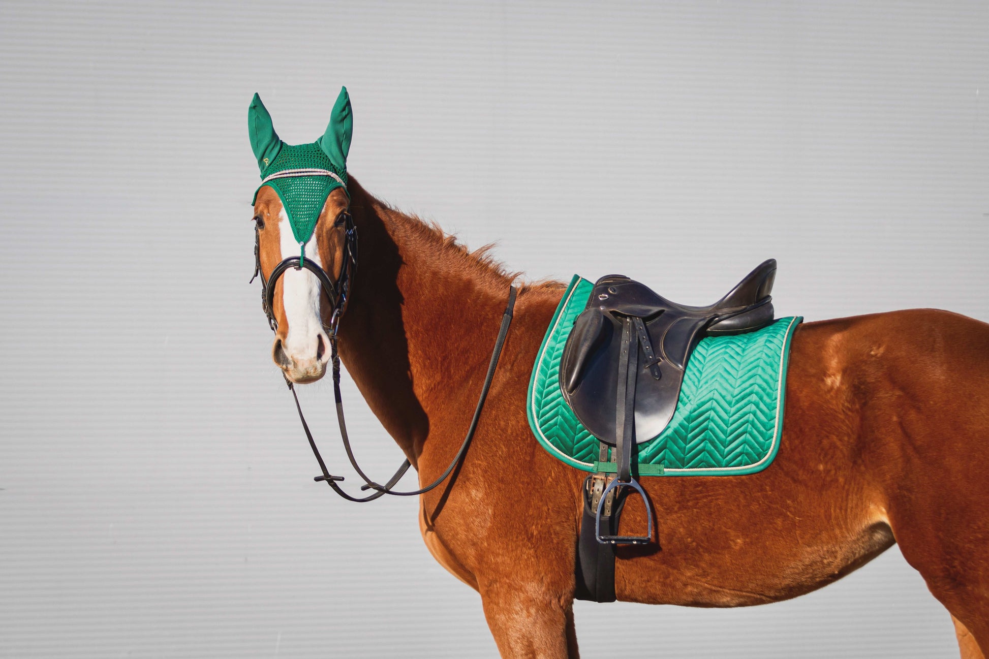 Czaprak velvet (emerald)