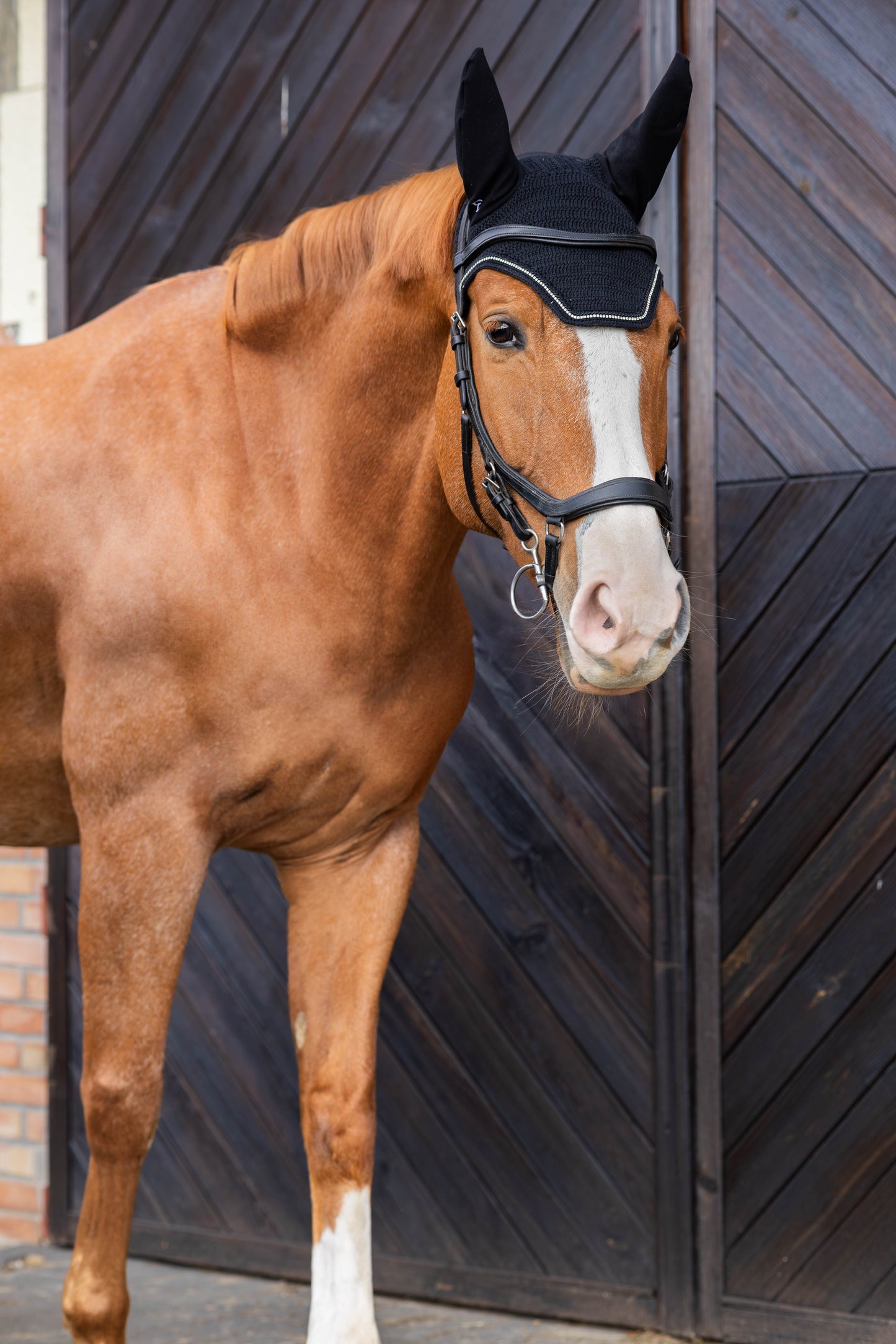 Nauszniki sparkle krótkie