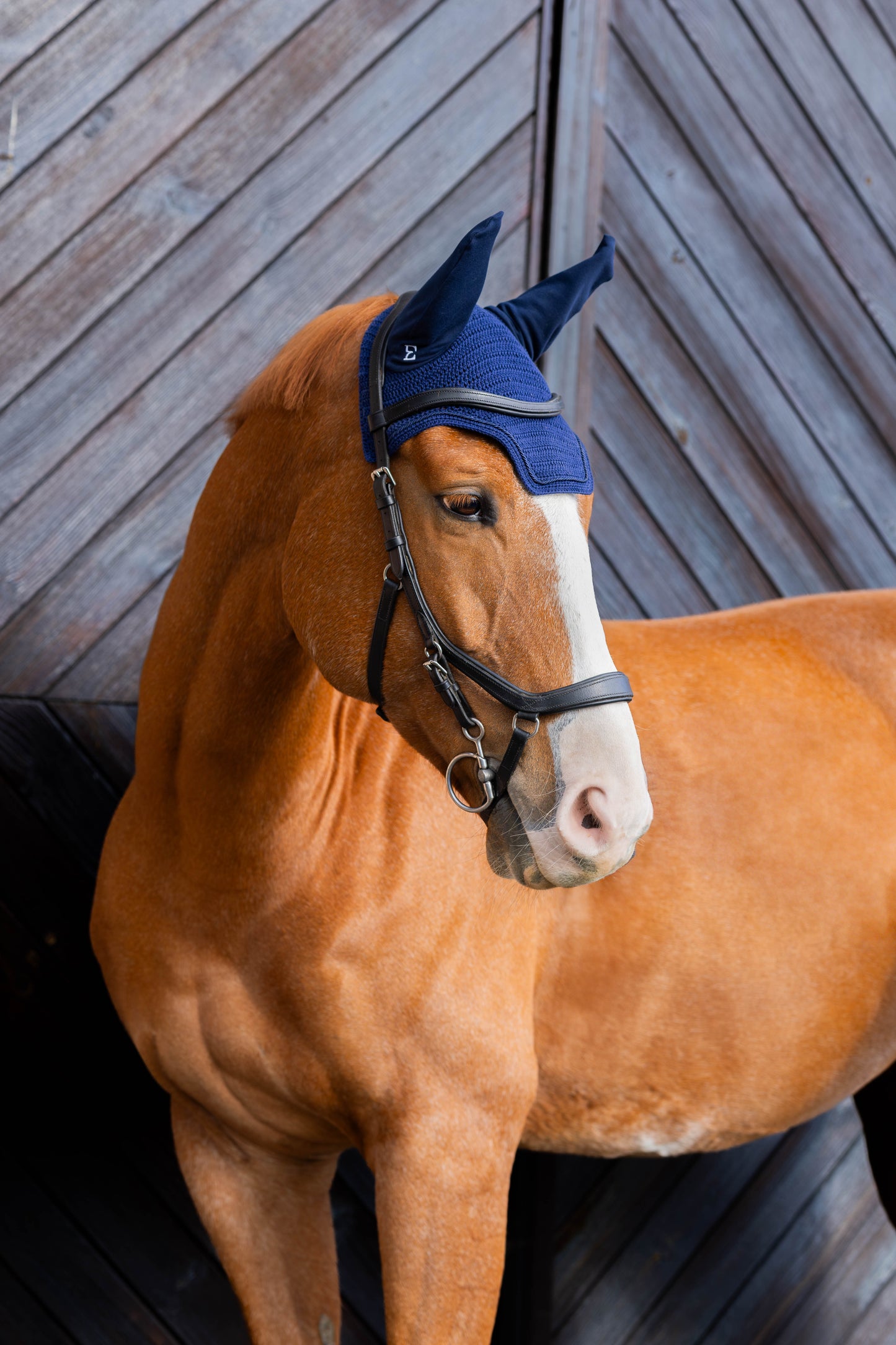 Basic short earmuffs (black)