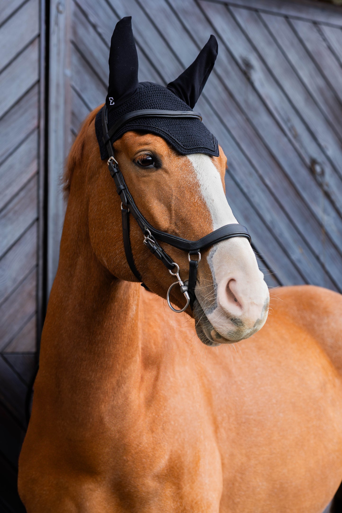 Basic short earmuffs (black)