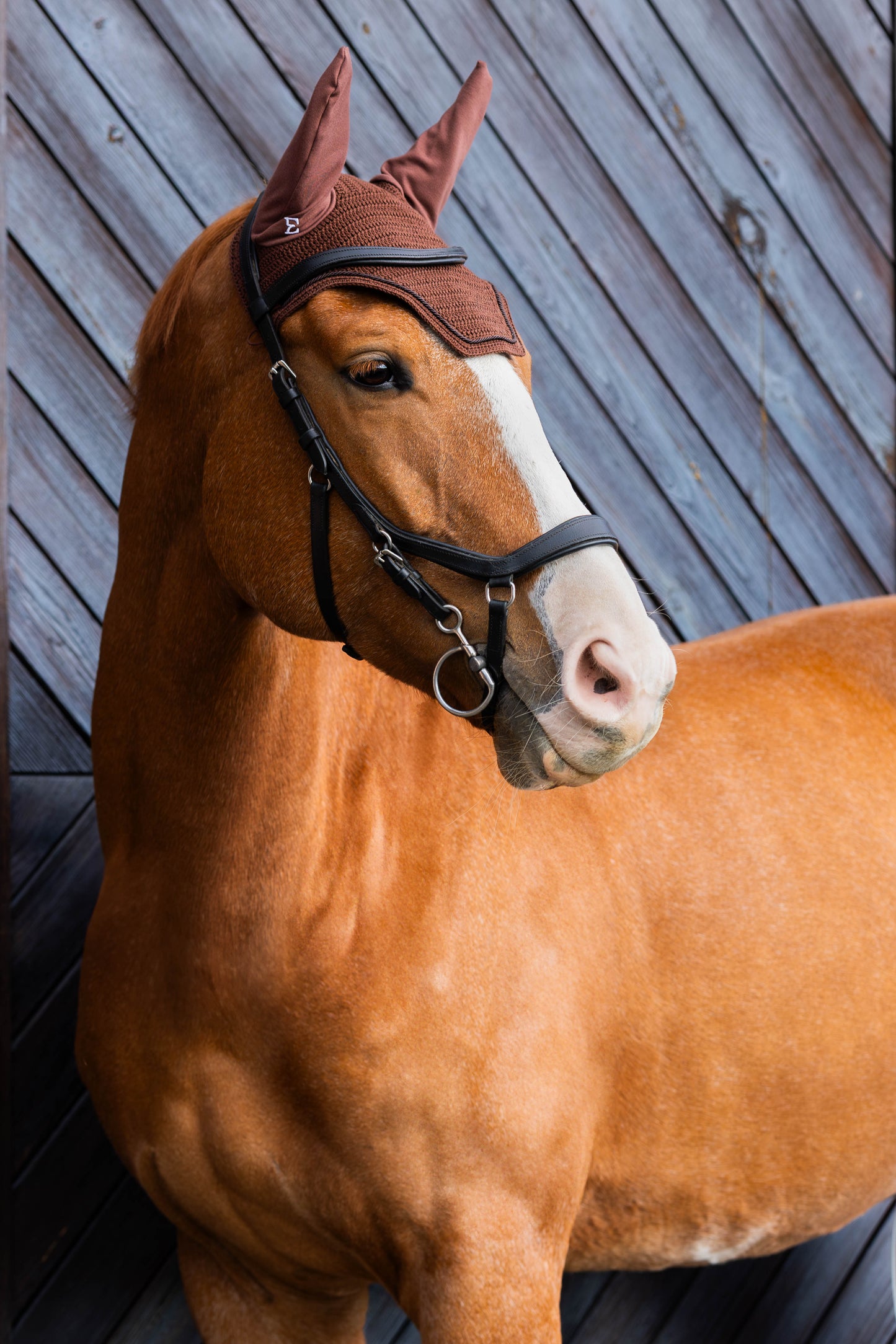 Basic short earmuffs (black)