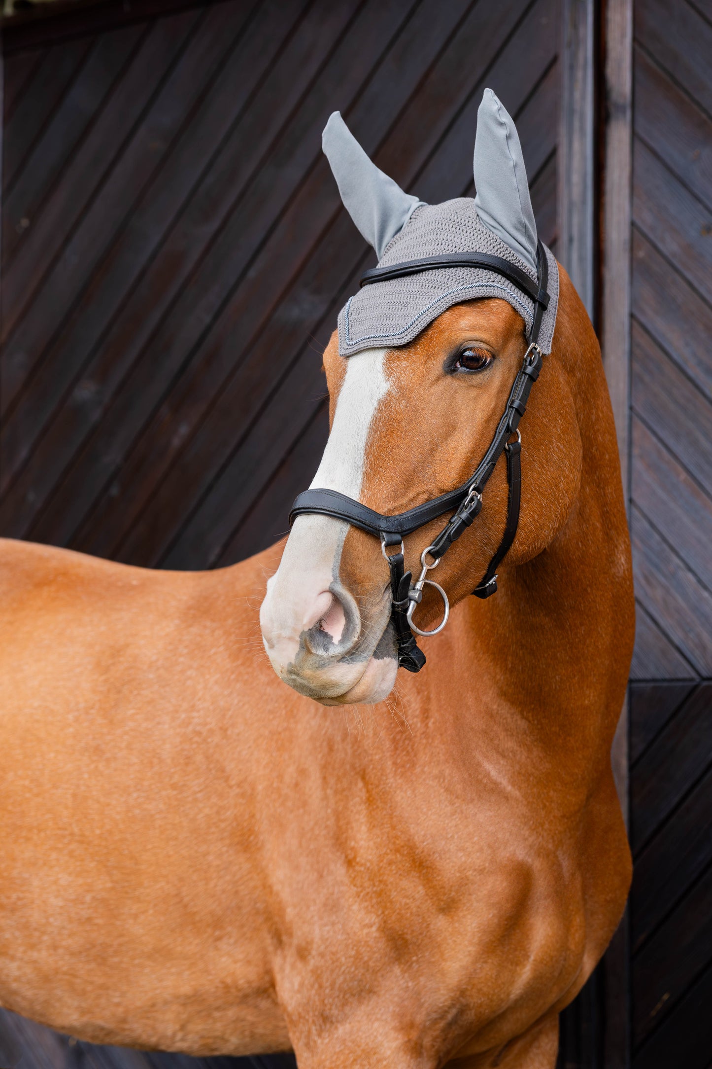 Basic short earmuffs (black)