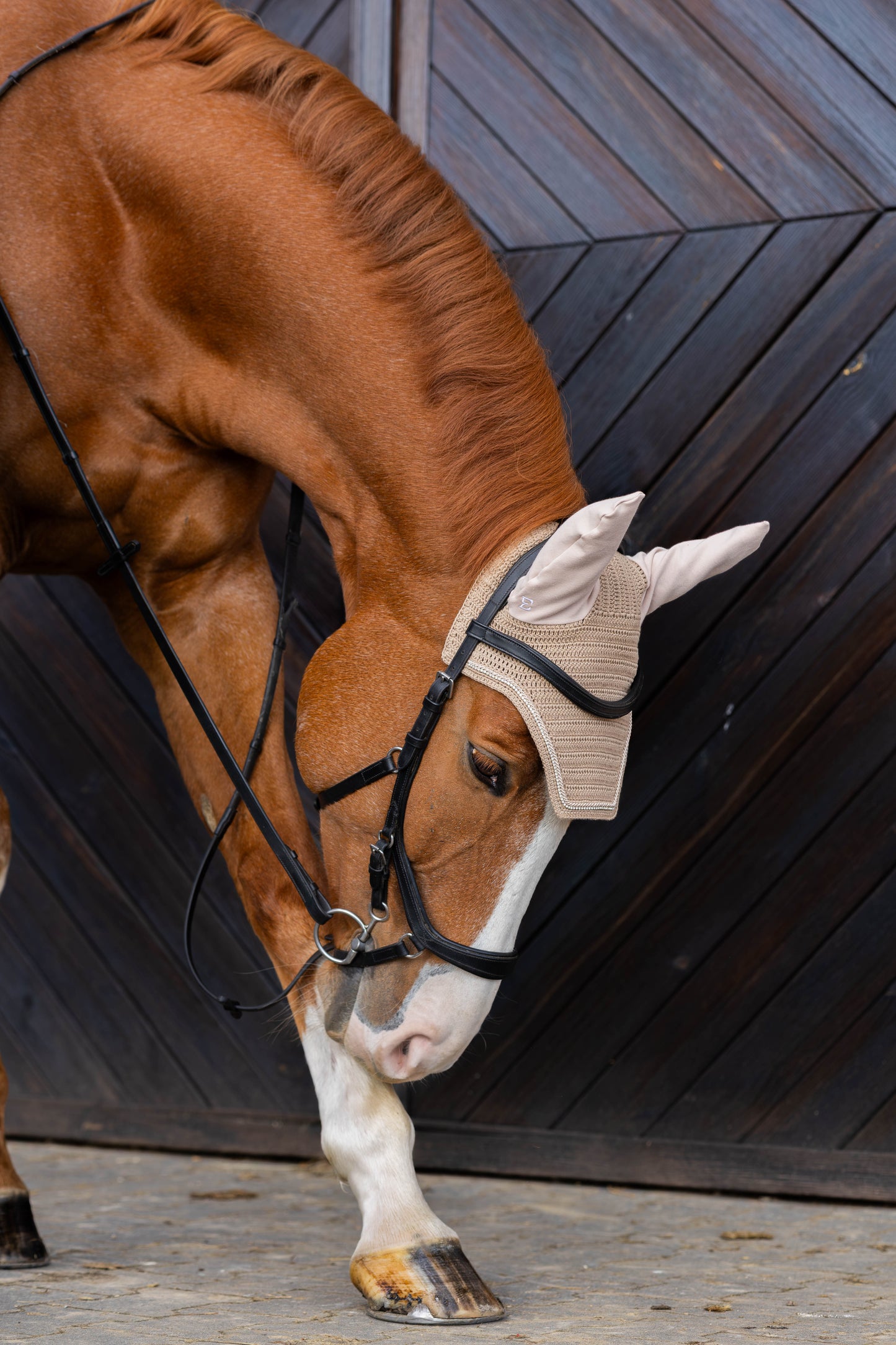 Nauszniki sparkle krótkie