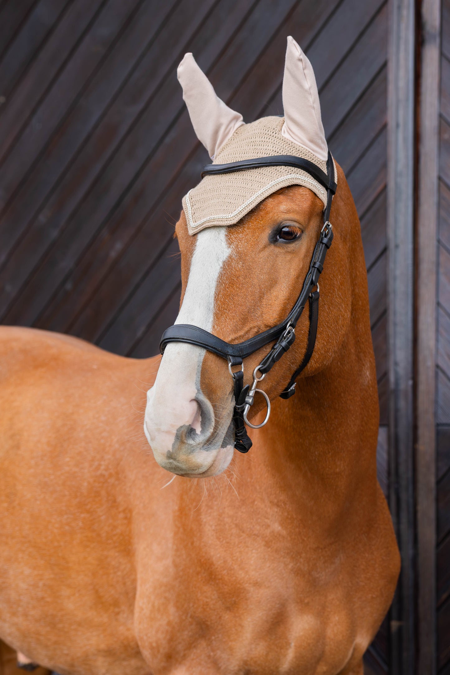 Nauszniki sparkle krótkie