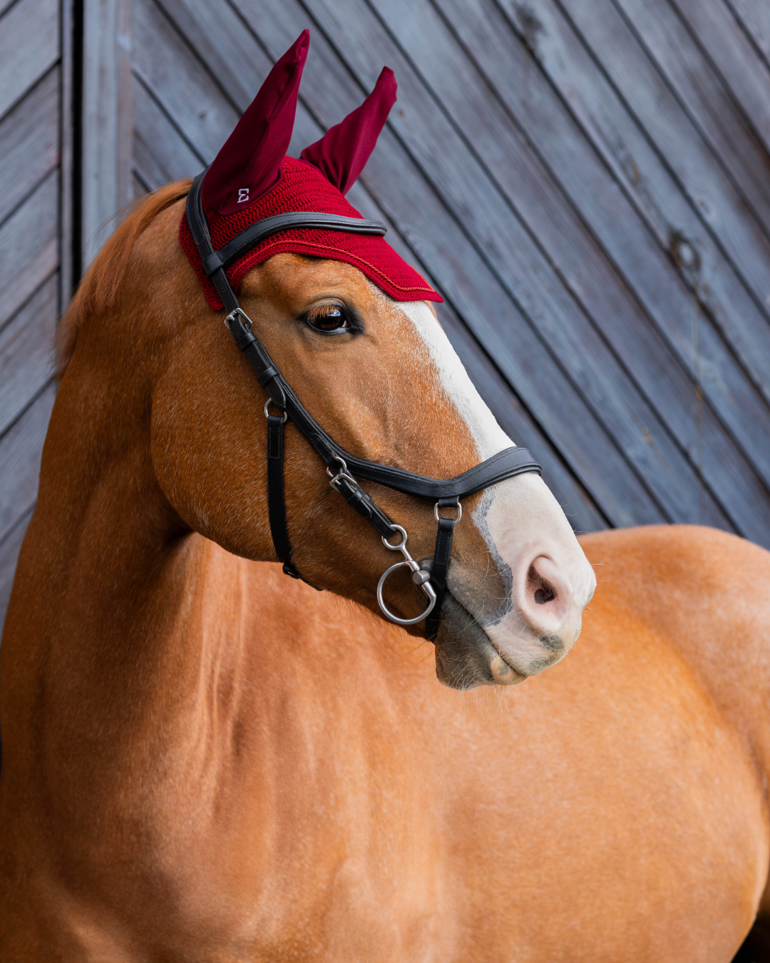 Basic short earmuffs (black)